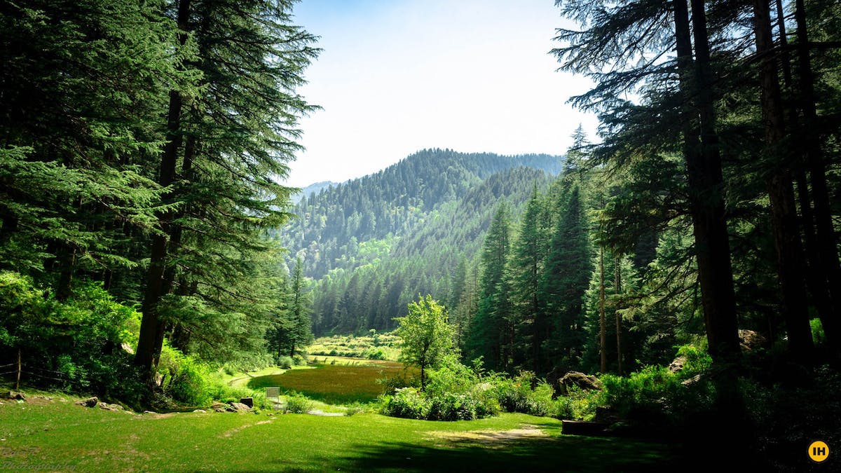 homestays-in-sainj-valley-and-tirthan-valley-in-himachal-Pradesh-india